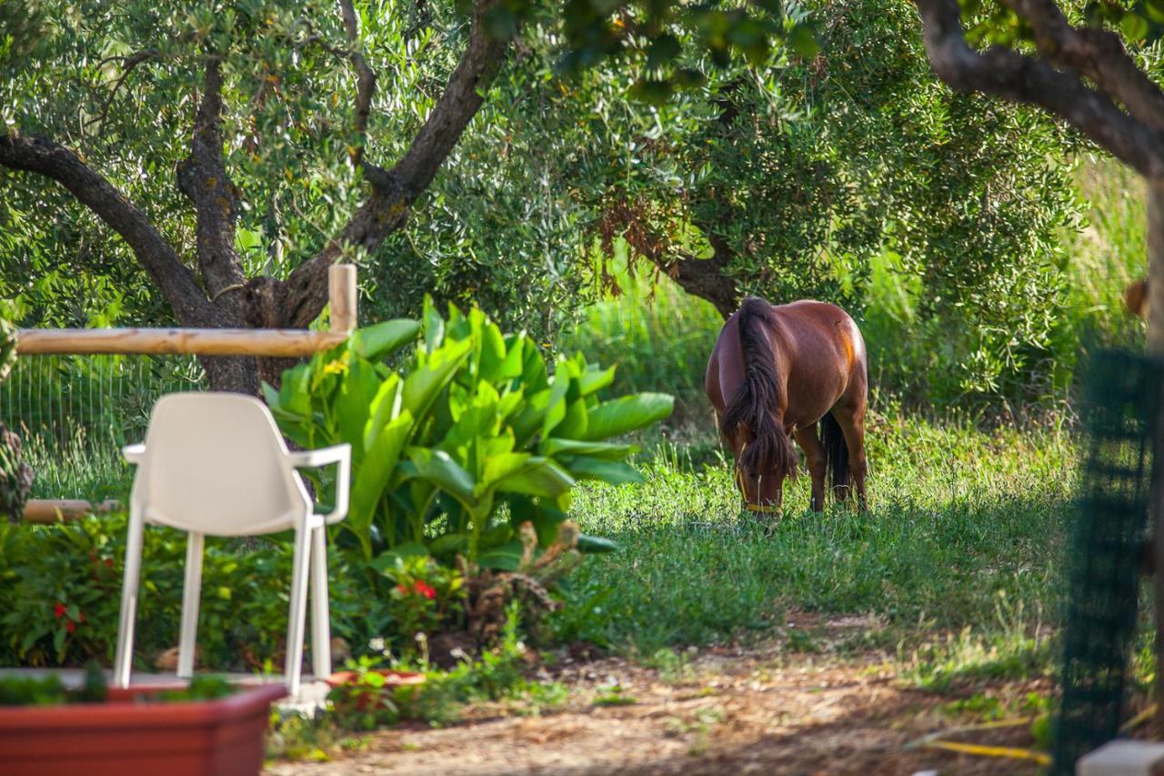 Il Gallo Con Gli Stivali Termoli Exterior foto